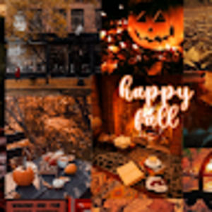 Meet your Posher, Gemma